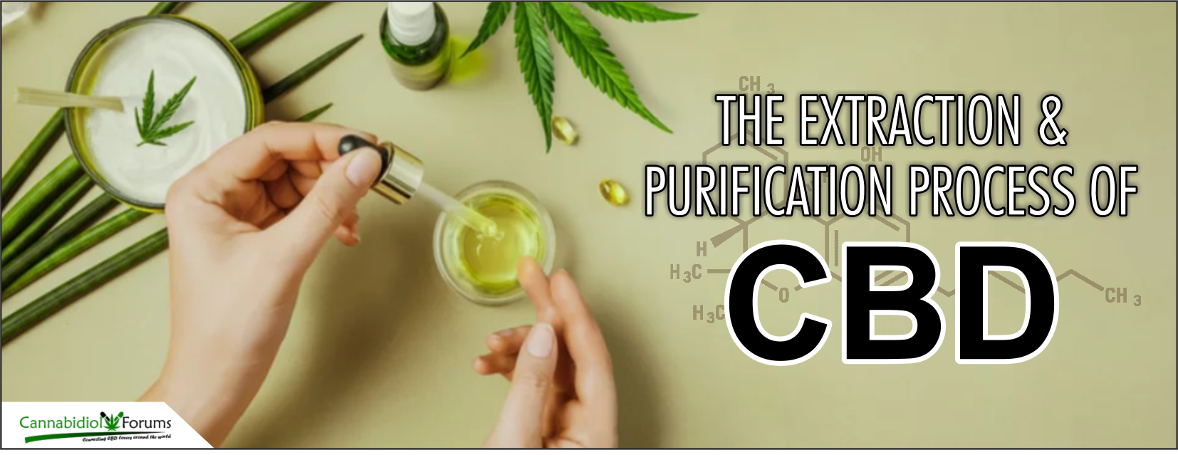 [Image: Purification-Process-Of-CBD.png]