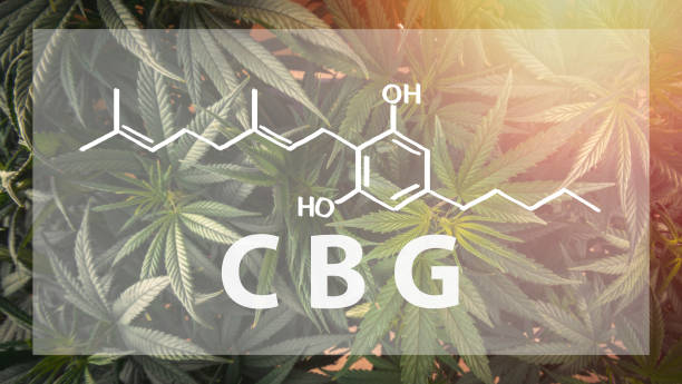 [Image: cannabigerol.png]